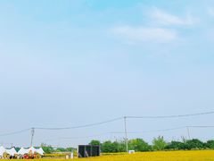 -莲花岛景区