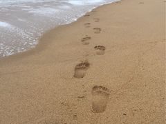 -白沙门生态公园