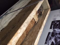 iphone_upload_pic-墨尔本博物馆(Melbourne Museum)