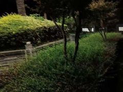 -平安桥天主教堂