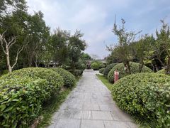 -合肥三国新城遗址公园