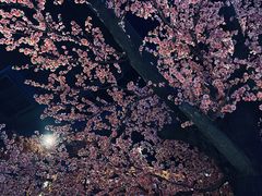 -章丘宴(唐人中心店)