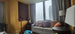 -大美母婴月子专护中心(紫峰店)