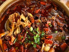 -青城甲(青城山店)