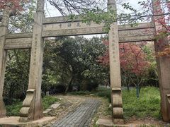 -雨花胜境