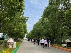 -营地公园·团建拓展·亲子户外(奉贤店)