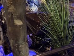 -绿茶餐厅(燕郊永旺店)