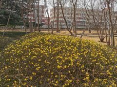-南长河公园