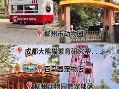 -柳州市动物园