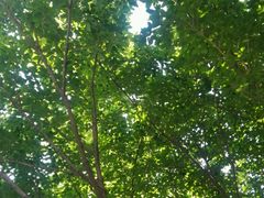 -杰锐体育·美华中学运动中心