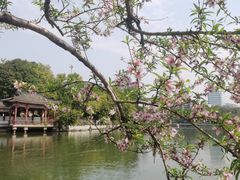 -西湖公园(鼓楼区)