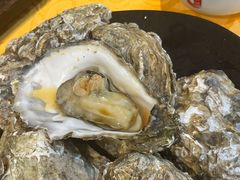 至尊桑拿蚝-天宝食坊·啫啫煲大排档(西华路店)