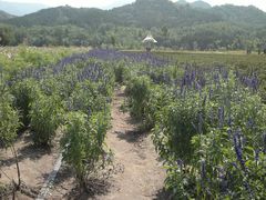 2013-09-06-544-百里山水画廊乌龙峡谷
