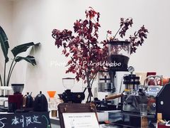-echoes coffee回响咖啡(红山店)