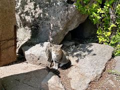 -崂山巨峰游览区
