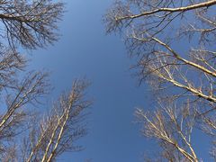 -野鸭湖国家湿地公园