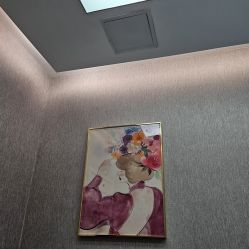 -金圣医疗美容