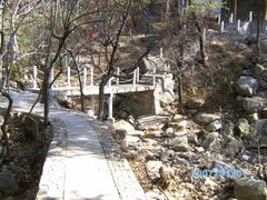 -沂蒙山旅游区云蒙景区(蒙山国家森林公园)