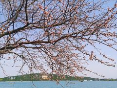 -颐和园
