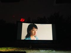 -枫花园汽车电影院(朝阳公园店)