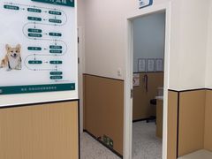 -瑞派康怡24h宠物医院·犬猫医疗中心·微创绝育(瑞景分院)
