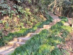 -杭州半山国家森林公园