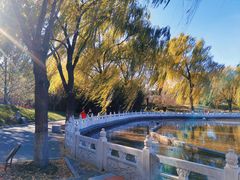 -丰台花园
