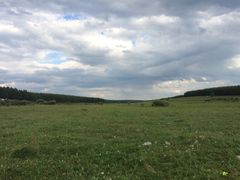 塞罕坝国家森林公园-塞罕坝国家级自然保护区