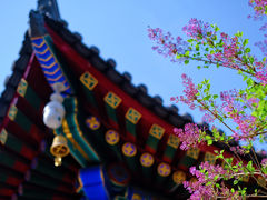 -西安市广仁寺