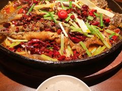 -老板恋上鱼(高新万达店)