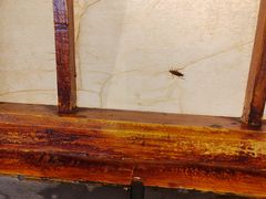 -延安八大碗(陕北菜·枣园路店)