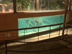 -清迈夜间动物园