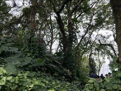 -海口火山口国家地质公园