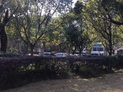 -上海中医药大学附属曙光医院(东部)