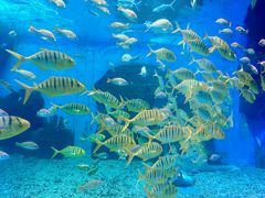 -泉城欧乐堡海洋极地世界