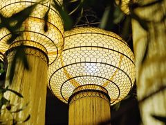 -叶叶菩提·晋福宫