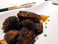 -西郊5号·Maggie 5