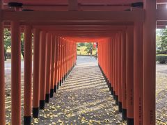-水前寺成趣园