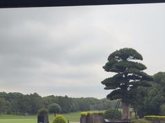 -苏宁钟山国际高尔夫酒店大堂酒廊