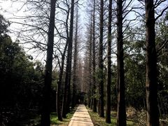 -同里国家湿地公园