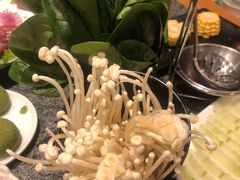 -江小渔鲜鱼火锅(辽沈二街店)
