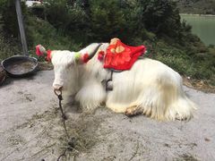 -松州古城