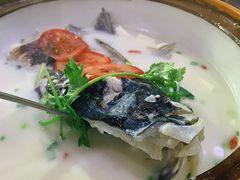 千岛湖浓汤鱼头-全乐鱼馆·淳牌有机鱼直营店