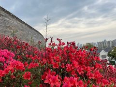-老门东历史文化街区