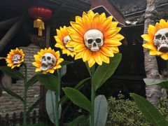 -杭州宋城