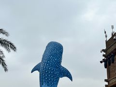 -珠海长隆海洋王国