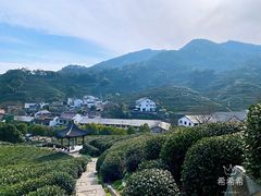 -龙井壹号·茶缘山景宴(龙井村店)