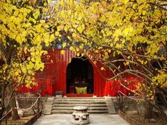 -阳台山自然风景区