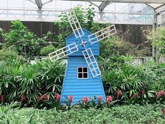 -南宫五洲植物乐园