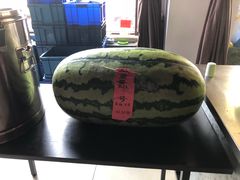 -西瓜小镇